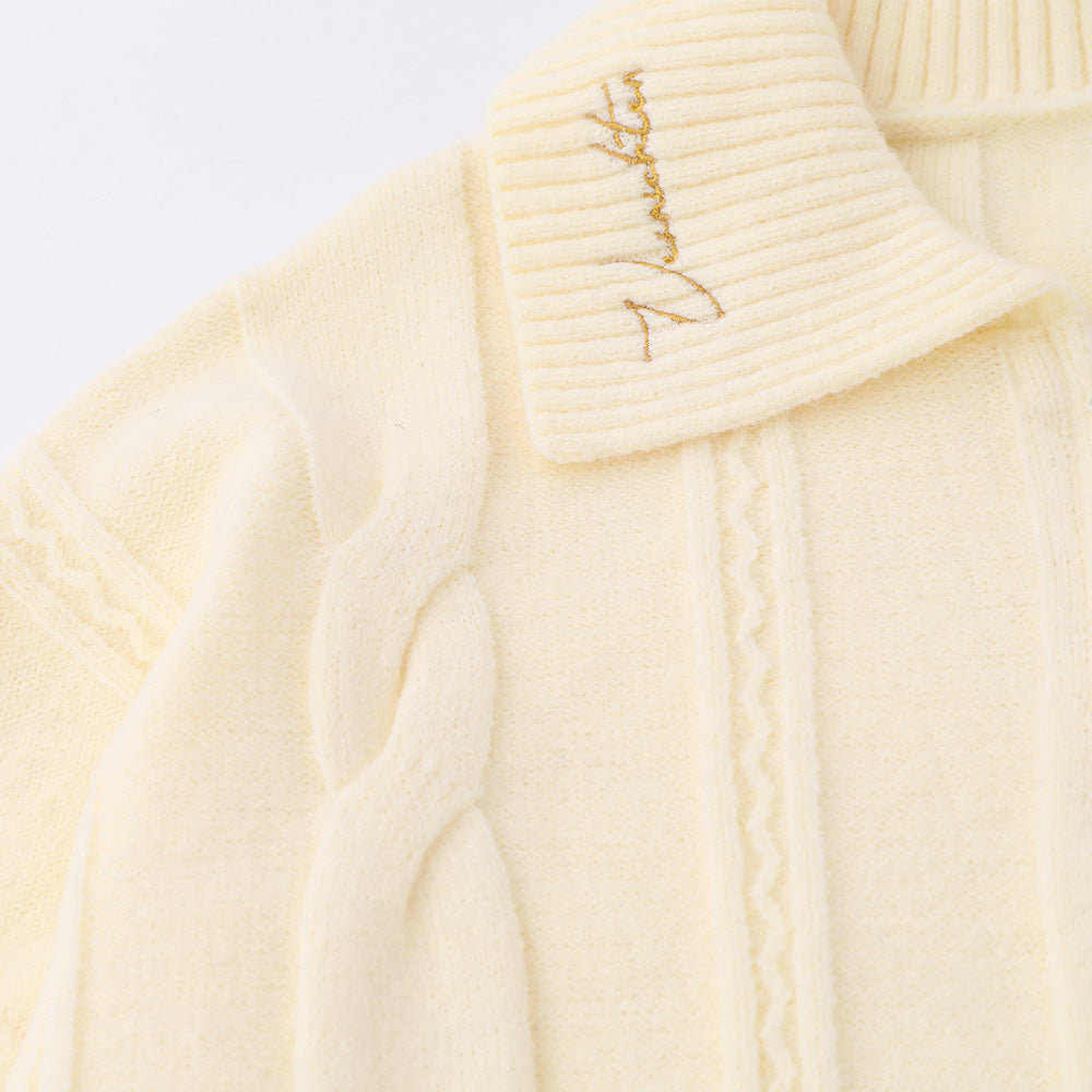 Simple Embroidered Lapel Sweater For Men