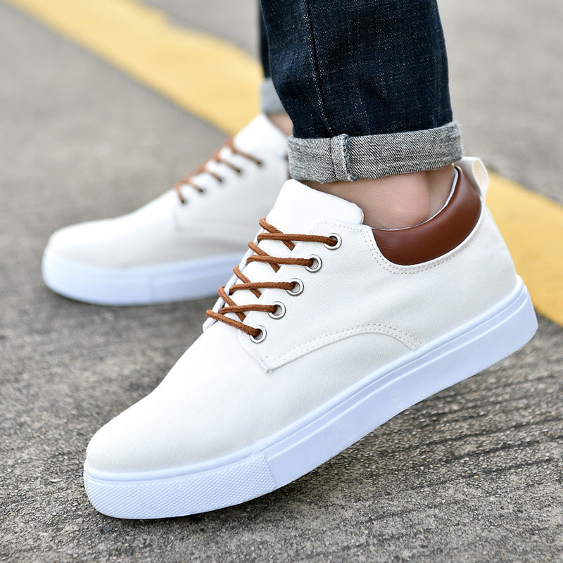 New Canvas Sneakers for Men